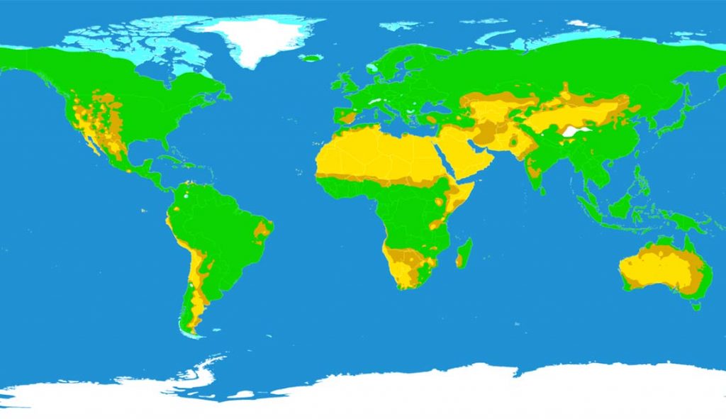 Пустыни отмечены на карте мира желтым цветом