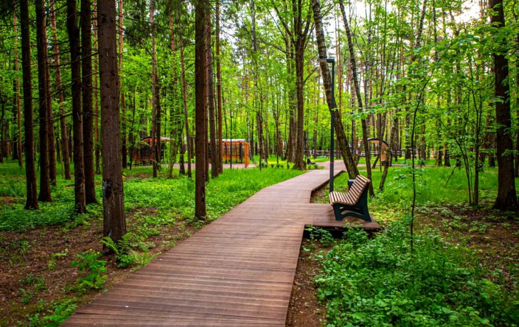Лесопарк - промежуточное звено между парком и лесом