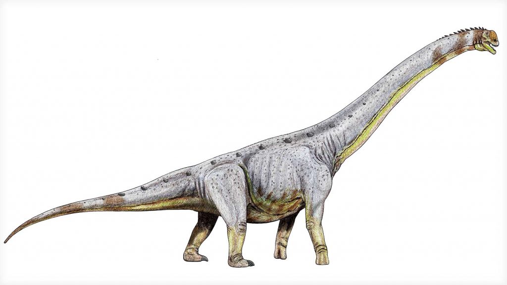 Паралититан находится на восьмой строчке среди самых больших динозавров