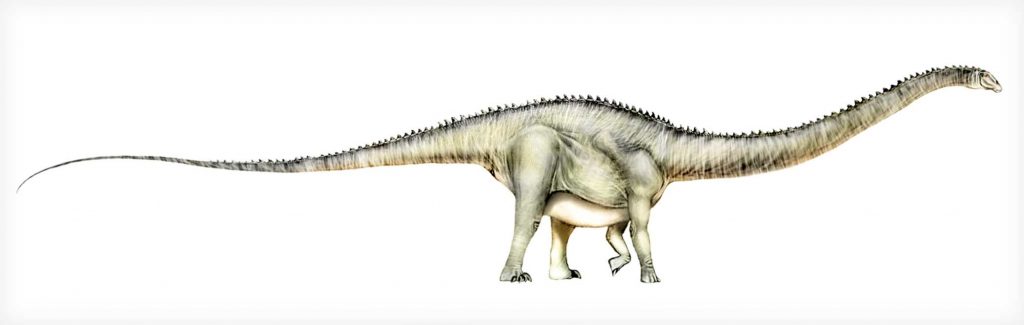 Суперзавр, разновидность ультразавров