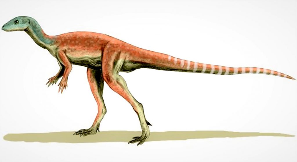 Динозавры – виды, названия, список с изображениями, описание, когда жили, где обитали, видео
