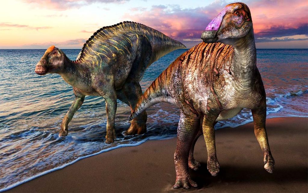 Яматозавр