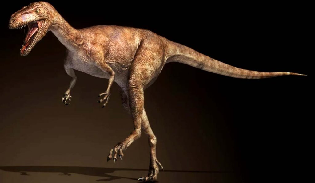 Ставрикозавр – один из наиболее ранних известных динозавров. Жил около 228 млн лет назад. Длина - 2,2 м, высота – 80 см, вес – 30 кг