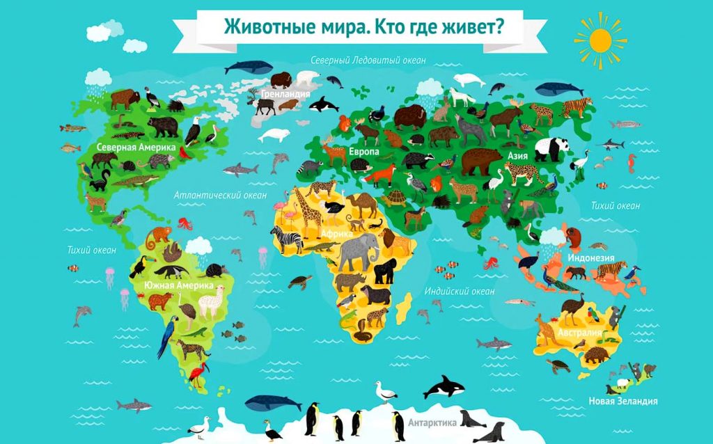 Животные России и мира