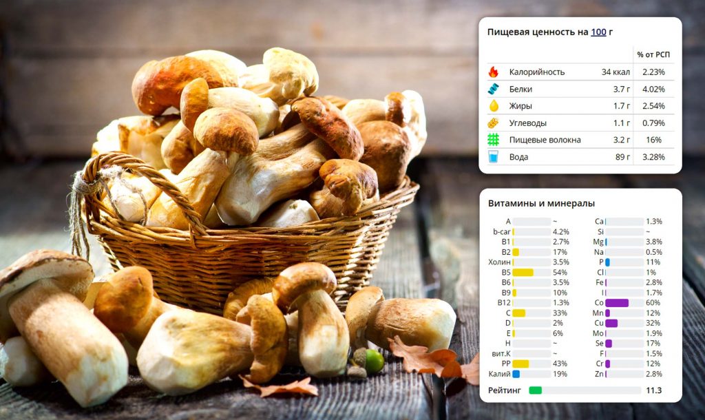 Пищевая ценность и состав грибов на примере белых