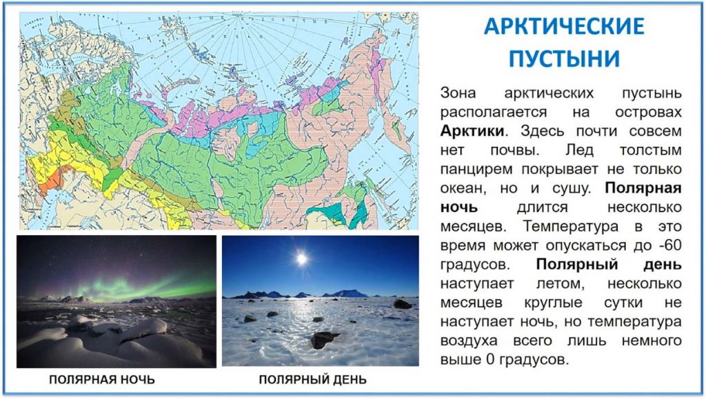 Арктическая пустыня России