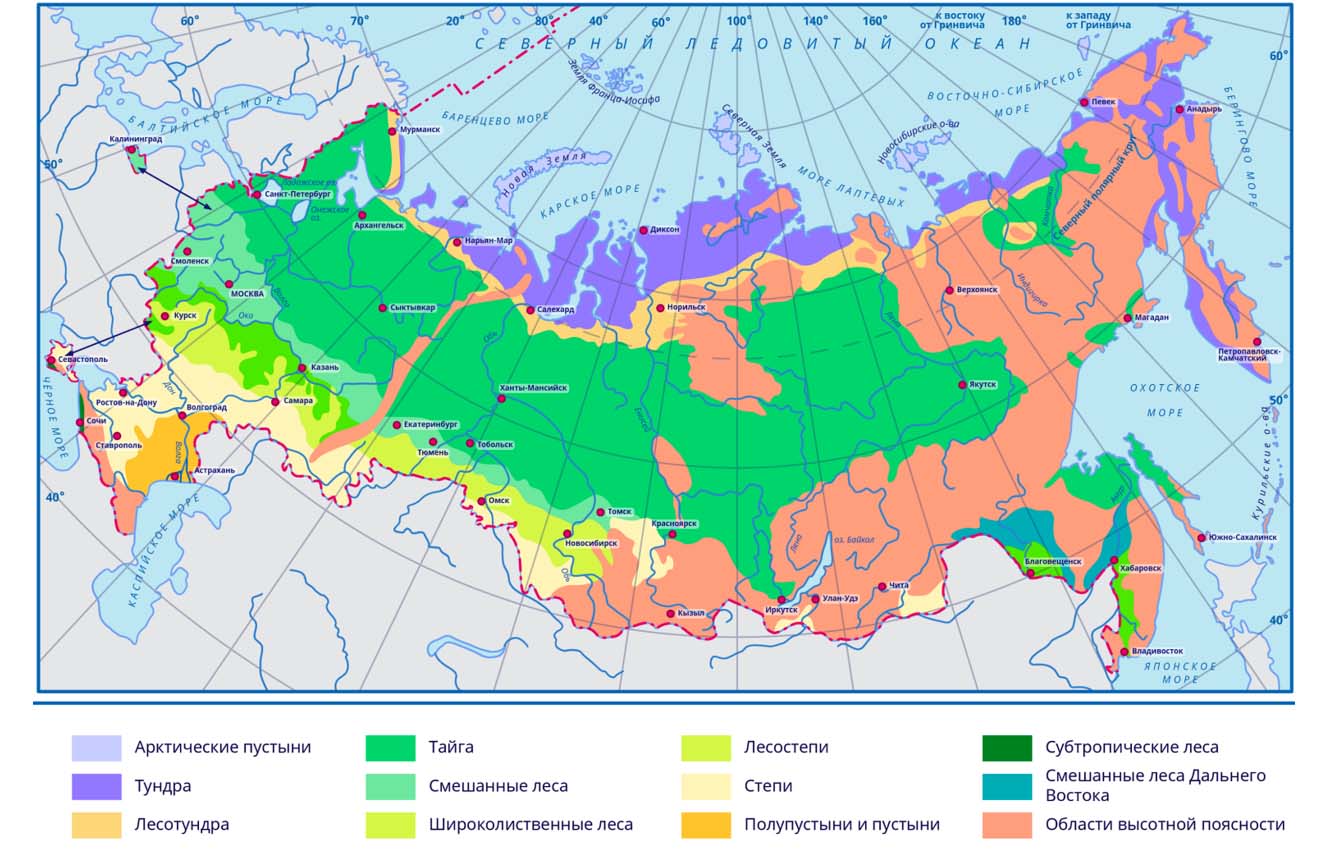 Смешанные и широколиственные леса на карте России