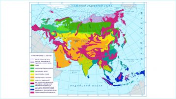 Природные зоны России – виды, названия, карта, климат, описание, почвы, характеристика, животные, растения, фото и видео