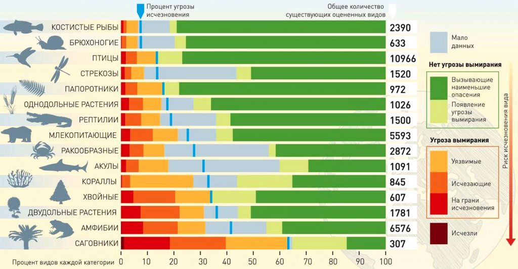 Риск вымирания различных животных и растений