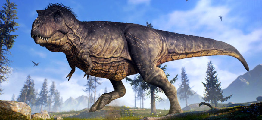 Тираннозавр – описание, размеры, поведение, образ жизни, места обитания, фото и видео